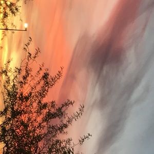 Meet your Posher, Kylee